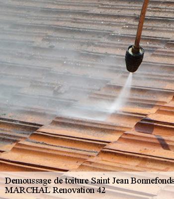demoussage-de-toiture
