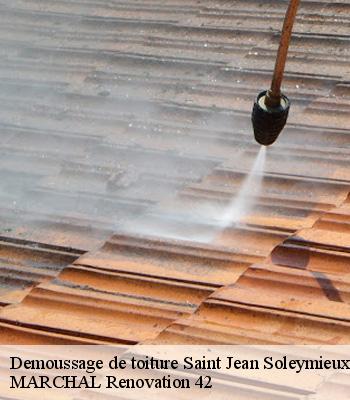 demoussage-de-toiture