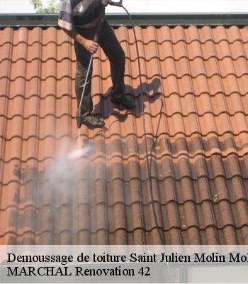 Demoussage de toiture