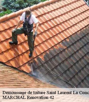 Demoussage de toiture