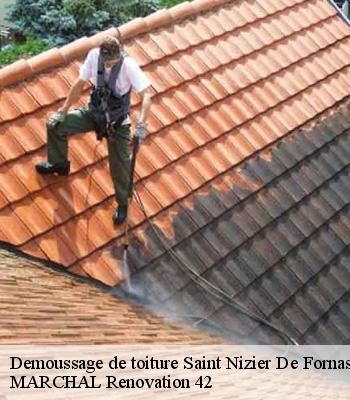 Demoussage de toiture