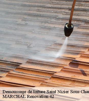 demoussage-de-toiture