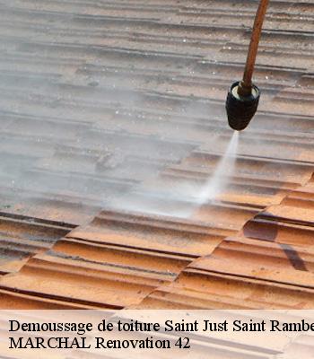 demoussage-de-toiture