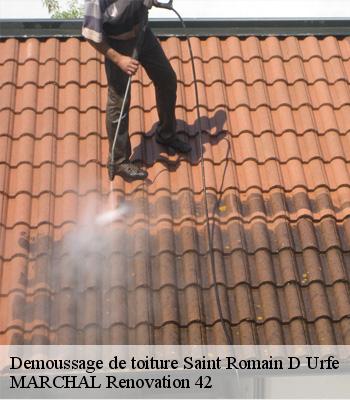 Demoussage de toiture