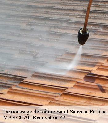demoussage-de-toiture