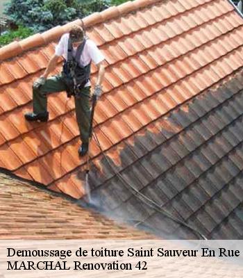 Demoussage de toiture