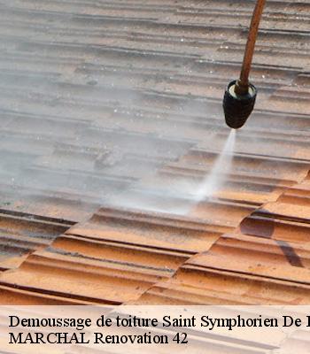 demoussage-de-toiture