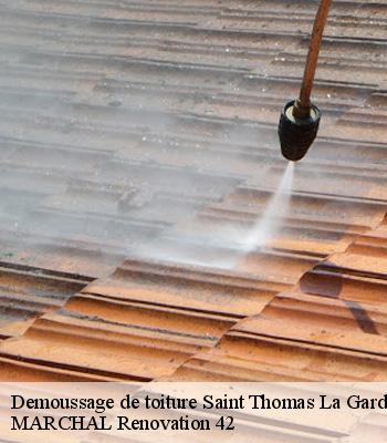 demoussage-de-toiture