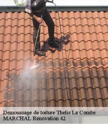 Demoussage de toiture