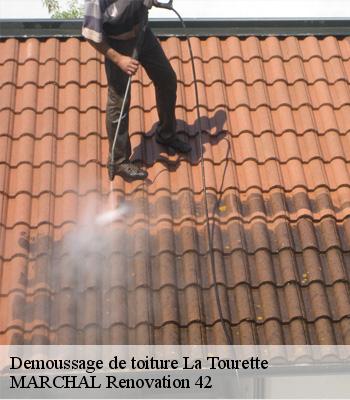 Demoussage de toiture