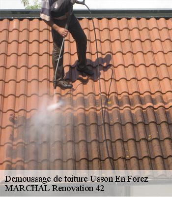 Demoussage de toiture