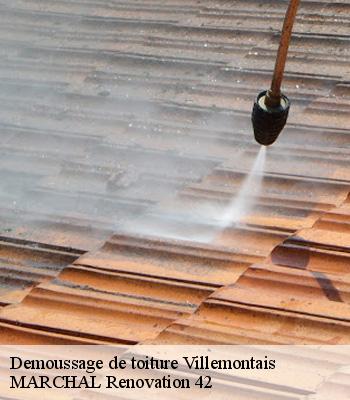 demoussage-de-toiture