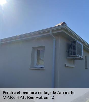 Peintre et peinture de façade