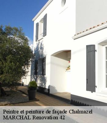 Peintre et peinture de façade