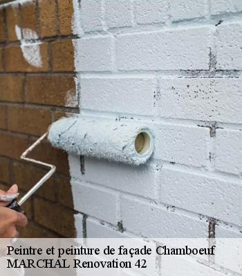 peintre-et-peinture-de-facade
