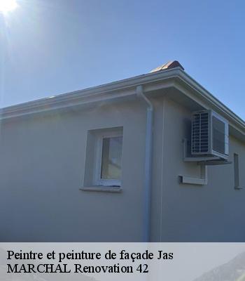 Peintre et peinture de façade