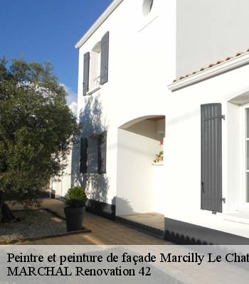 Peintre et peinture de façade