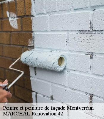 peintre-et-peinture-de-facade