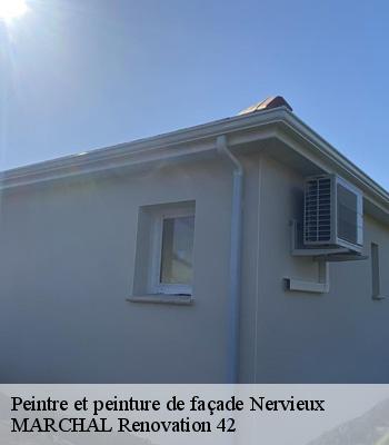 Peintre et peinture de façade