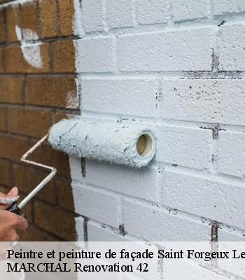 peintre-et-peinture-de-facade
