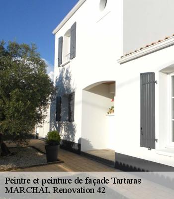 Peintre et peinture de façade