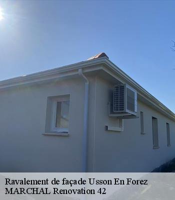 ravalement-de-facade