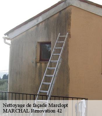 Nettoyage de façade