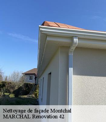 nettoyage-de-facade