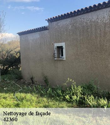 Nettoyage de façade