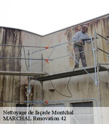 Nettoyage de façade