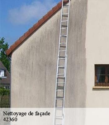 Nettoyage de façade
