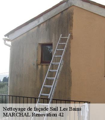 Nettoyage de façade