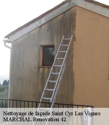 Nettoyage de façade