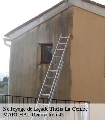 Nettoyage de façade