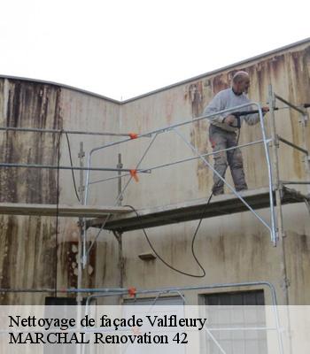 Nettoyage de façade