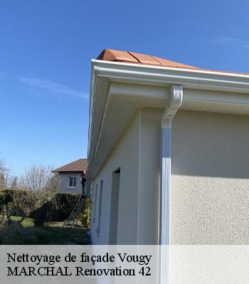 nettoyage-de-facade