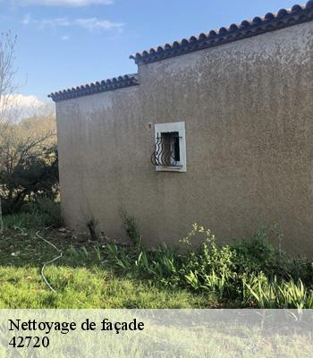 Nettoyage de façade