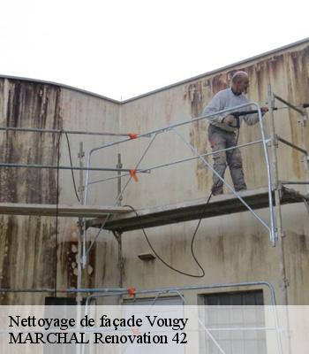 Nettoyage de façade