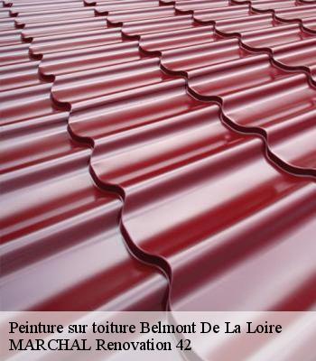 peinture-sur-toiture