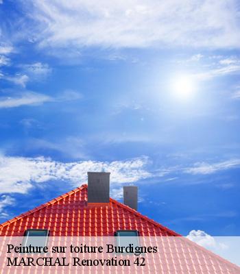 Peinture sur toiture
