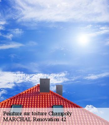 Peinture sur toiture