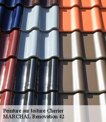 Peinture sur toiture