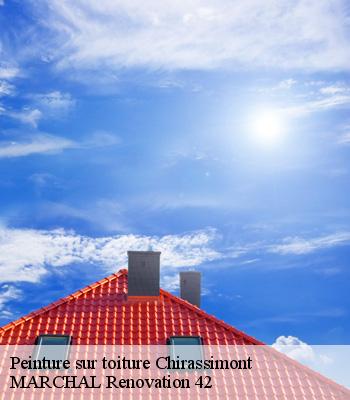 Peinture sur toiture