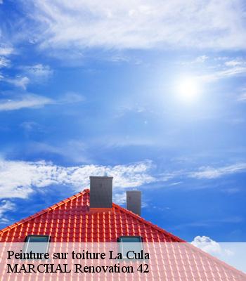 Peinture sur toiture