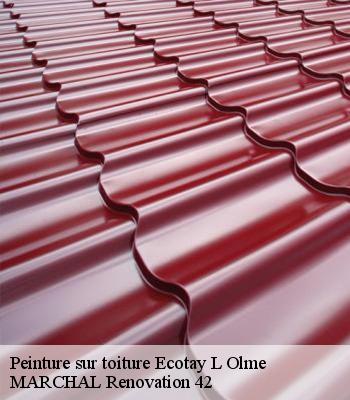 peinture-sur-toiture