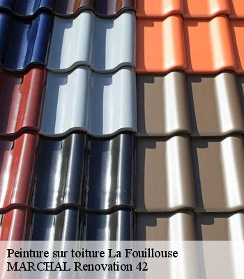 Peinture sur toiture