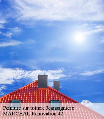 Peinture sur toiture