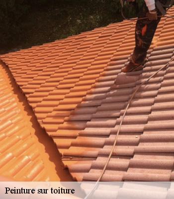Peinture sur toiture