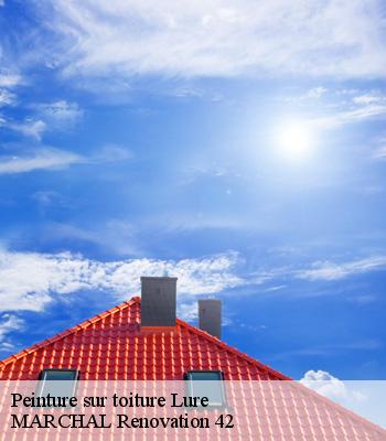 Peinture sur toiture