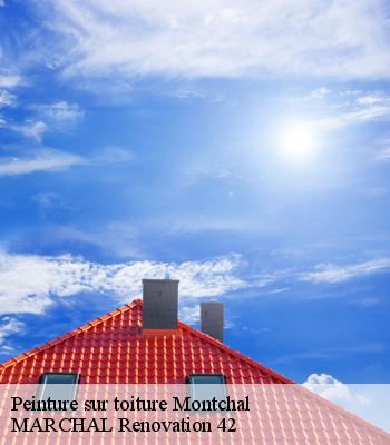 Peinture sur toiture